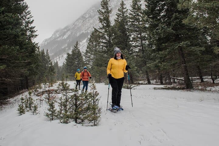 Waterton Winter Wonderland: Snowshoe Hike to Cameron Lake photo 3
