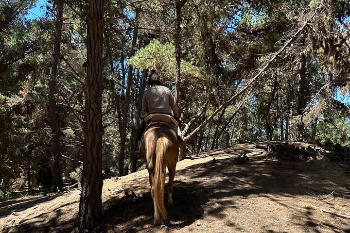 Hike Cerro El Mauco and Horseback Ride the Ritoque Dunes from Valparaiso photo 4