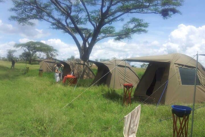 3-Day Serengeti & Ngorongoro Small-Group Safari — Game Drives and Camping photo 2