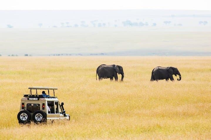 3-Day Serengeti & Ngorongoro Small-Group Safari — Game Drives and Camping