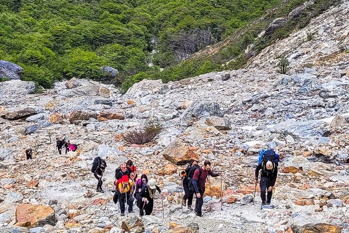 Trekking to Ojo del Albino Glacier: 21 km Glacier Hike from Ushuaia photo 3