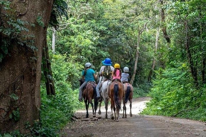 Rincón de la Vieja Mega Combo: Zipline, Hot Springs & Cultural Day Tour photo 1