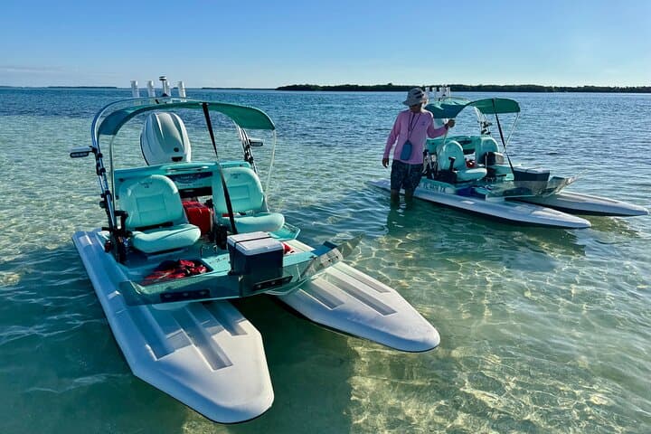 Key West Mini Catamaran Eco Tour: 2-Hour Backcountry Adventure
