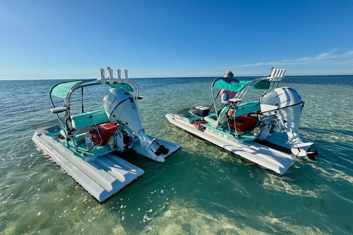 Key West Mini Catamaran Eco Tour: 2-Hour Backcountry Adventure photo 4