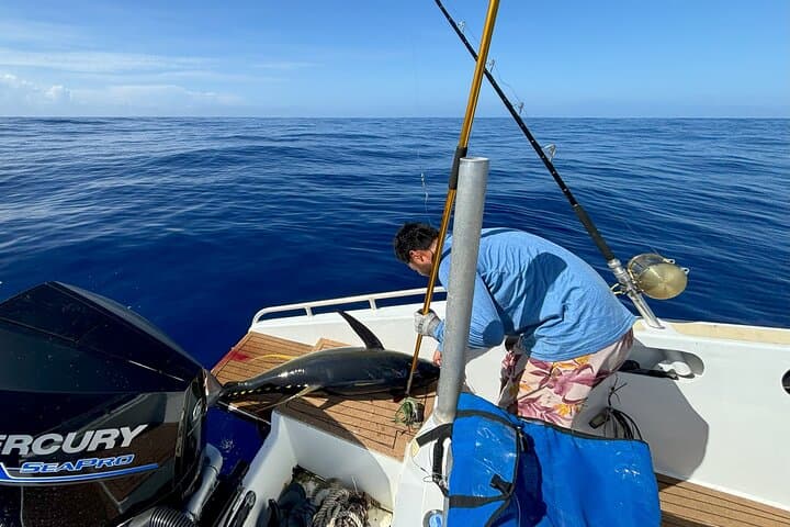Moorea Deep-Sea Fishing Charter — 4-Hour Big-Game Adventure photo 3