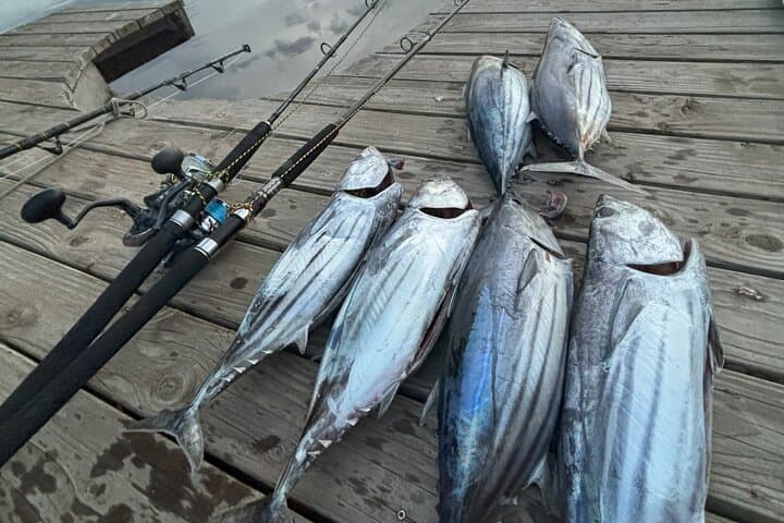 Moorea Deep-Sea Fishing Charter — 4-Hour Big-Game Adventure photo 4