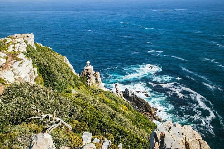 Private Day Trip to Cape Peninsula from Cape Town — Chapman's Peak, Cape Point & Penguins photo 4