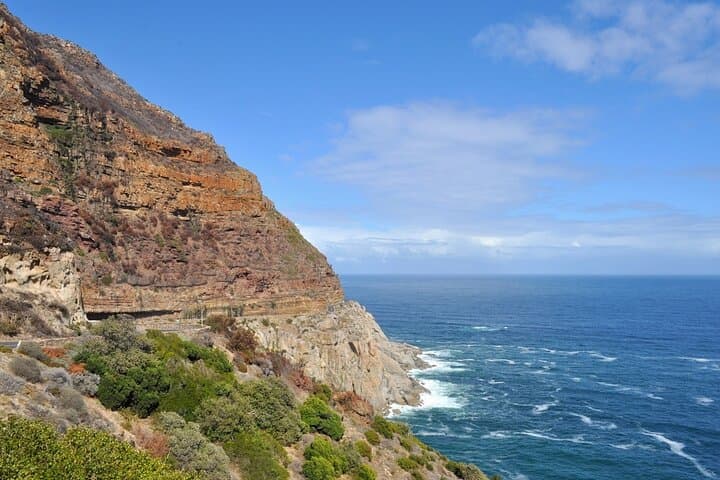 Private Day Trip to Cape Peninsula from Cape Town — Chapman's Peak, Cape Point & Penguins photo 5