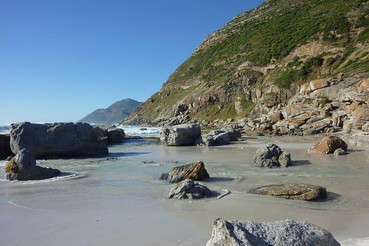 Private Day Trip to Cape Peninsula from Cape Town — Chapman's Peak, Cape Point & Penguins photo 6