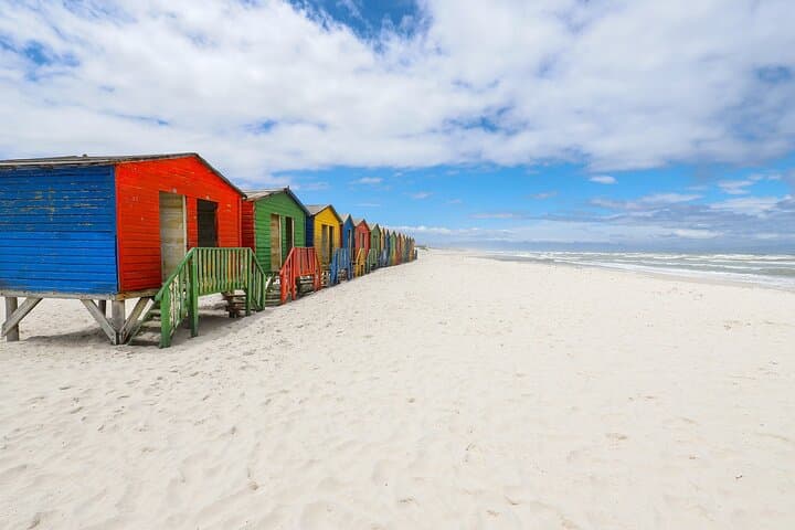 Private Day Trip to Cape Peninsula from Cape Town — Chapman's Peak, Cape Point & Penguins