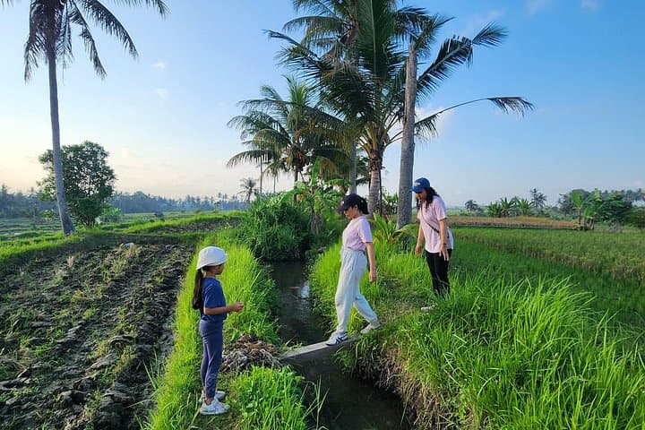 Morning Walk Through Ubud's Sacred Rice Fields: Sunrise, Farming & Village Culture photo 1