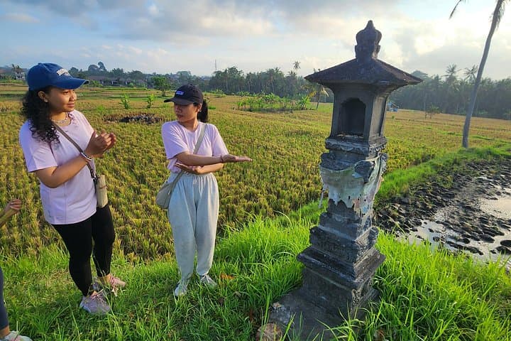 Morning Walk Through Ubud's Sacred Rice Fields: Sunrise, Farming & Village Culture photo 4