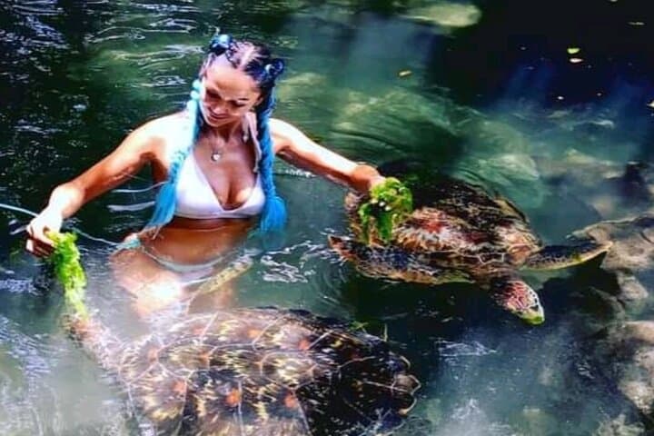 Swim with Turtles and Sunset Dhow Cruise in Nungwi, Zanzibar photo 2