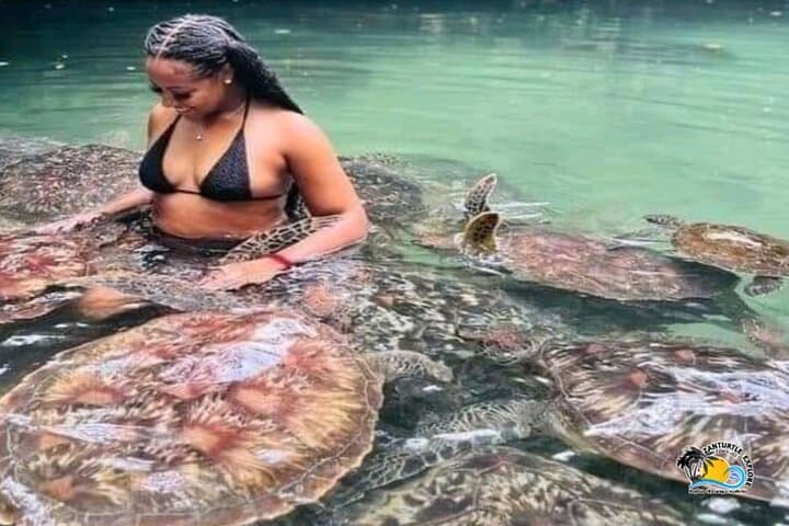 Swim with Turtles and Sunset Dhow Cruise in Nungwi, Zanzibar