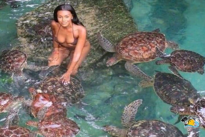 Swim with Turtles and Sunset Dhow Cruise in Nungwi, Zanzibar photo 4