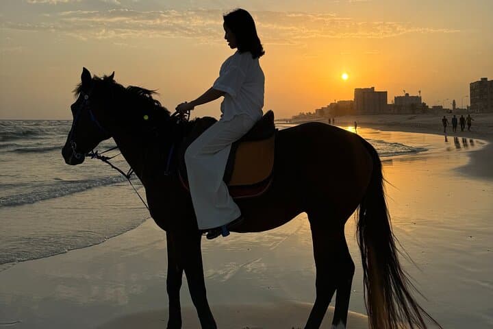 Sunset Horse Riding on Salalah Beach: Guided Coastal Horseback Experience