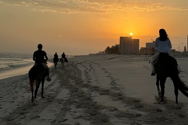 Sunset Horse Riding on Salalah Beach: Guided Coastal Horseback Experience photo 3