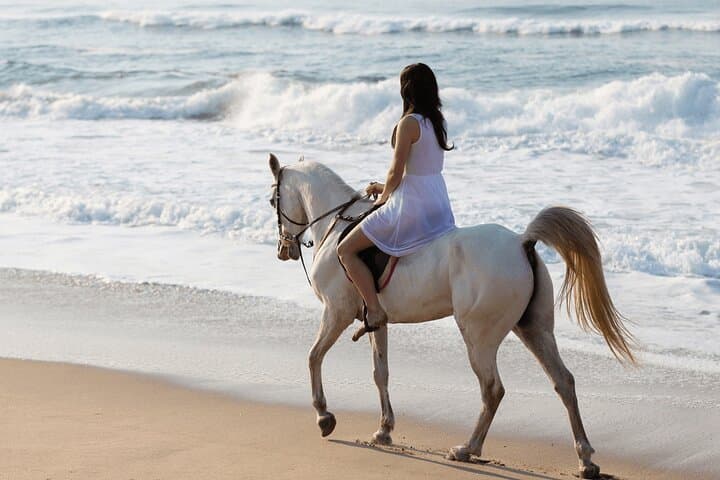 Sunset Horse Riding on Salalah Beach: Guided Coastal Horseback Experience photo 4