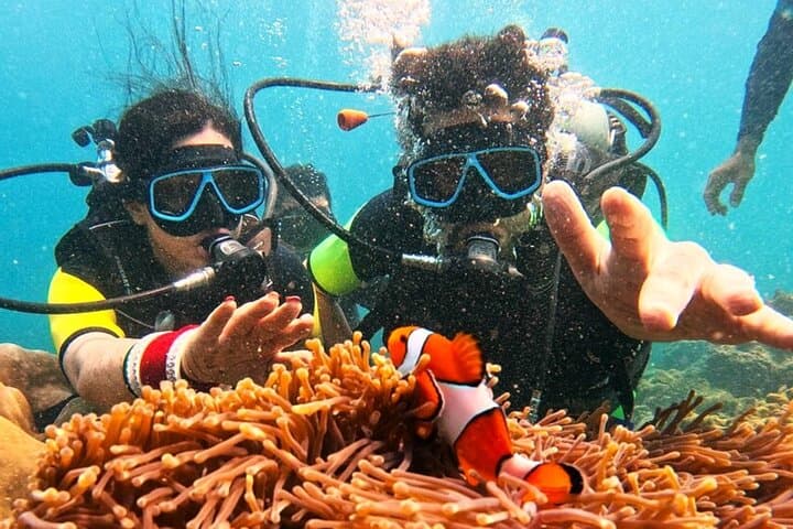 Phuket Scuba Diving — Maiton & Racha Islands Small-Group Dives for All Levels photo 4