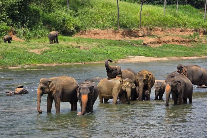 12-Day Grand Discovery of Sri Lanka: Culture, Wildlife & Coastal Escapes photo 2