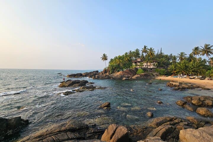 12-Day Grand Discovery of Sri Lanka: Culture, Wildlife & Coastal Escapes photo 3