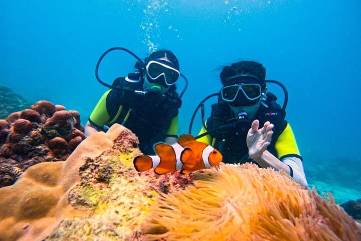 Phuket Scuba Diving — Maiton & Racha Islands Small-Group Dives for All Levels