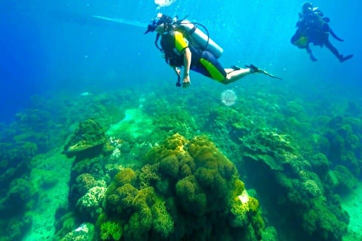 Phuket Scuba Diving — Maiton & Racha Islands Small-Group Dives for All Levels photo 3