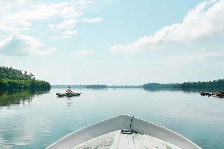 Muthurajawela Bird Watching Day Tour: Marsh Boat Safari from Colombo & Negombo photo 1
