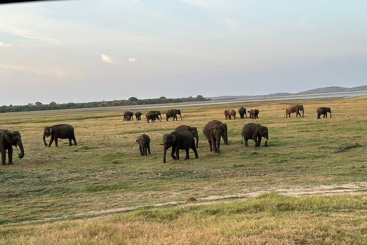 12-Day Grand Discovery of Sri Lanka: Culture, Wildlife & Coastal Escapes photo 4