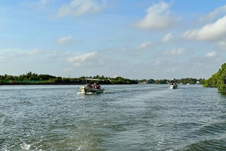 12-Day Grand Discovery of Sri Lanka: Culture, Wildlife & Coastal Escapes photo 5