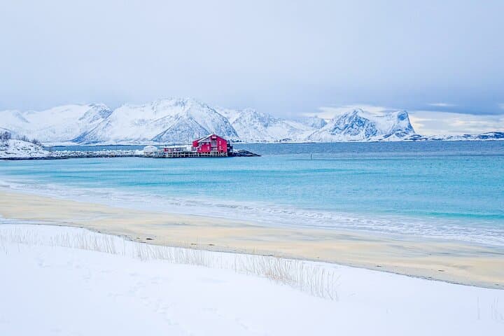 Full-Day Senja Scenic Route: Tromsø to Ersfjord, Tungeneset & Bergsbotn photo 2