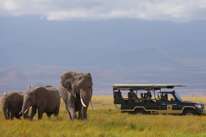 Two-Day Amboseli Safari: Elephants, Mount Kilimanjaro Views & Wildlife Drives photo 1