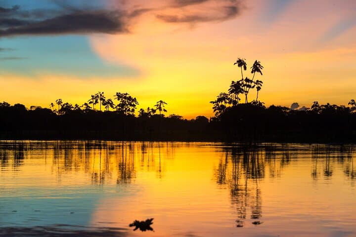 4-Day Pacaya-Samiria Amazon Reserve Expedition from Iquitos photo 5