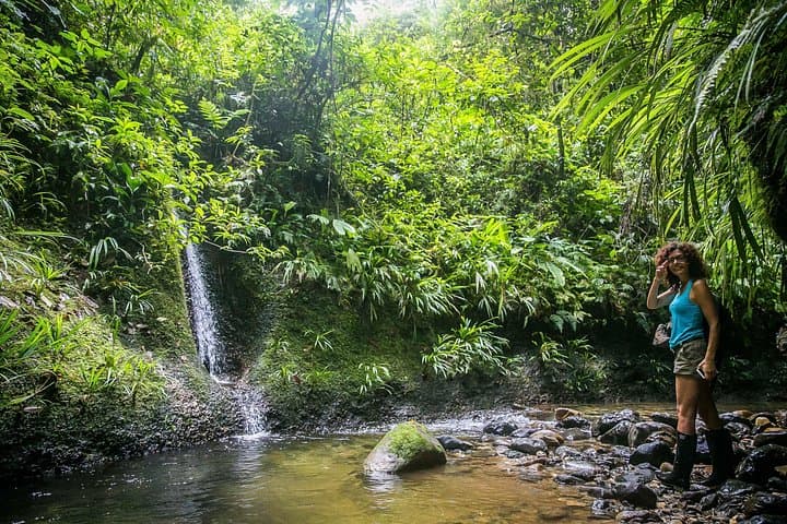 4-Day Amazon Expedition from Iquitos: River Dolphins, Indigenous Villages & Jungle Nightlife photo 4