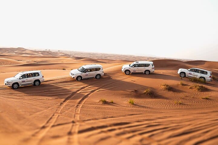 Dubai Red Dunes Safari: Dune Bashing, Camel Ride & Evening Desert Camp photo 3