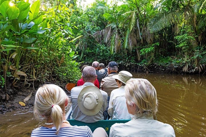 3-Day Pacaya-Samiria Amazon Safari from Iquitos: Wildlife, Rivers & Local Villages photo 2