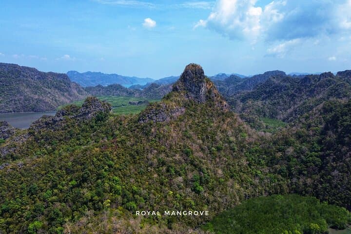 Langkawi Mangrove Boat Tour and Snorkelling at Dangli Island photo 4