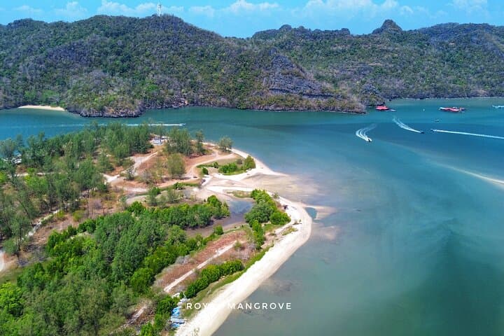 Langkawi Mangrove Boat Tour and Snorkelling at Dangli Island photo 5