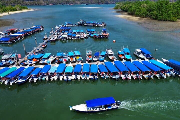 Langkawi Mangrove Boat Tour and Snorkelling at Dangli Island photo 6