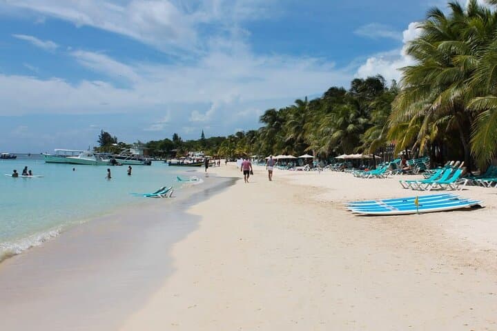 Roatan Wildlife and Beach Combo: Sanctuary, Chocolate Tasting & West Bay Swim photo 4