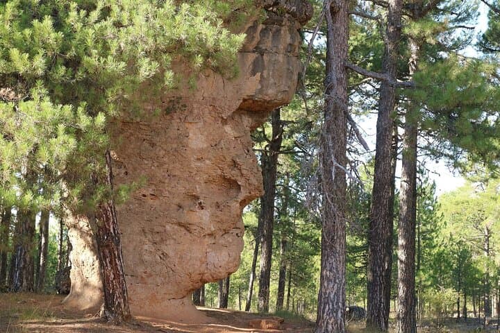 Morning Tour to Ciudad Encantada and Ventano del Diablo from Cuenca photo 3