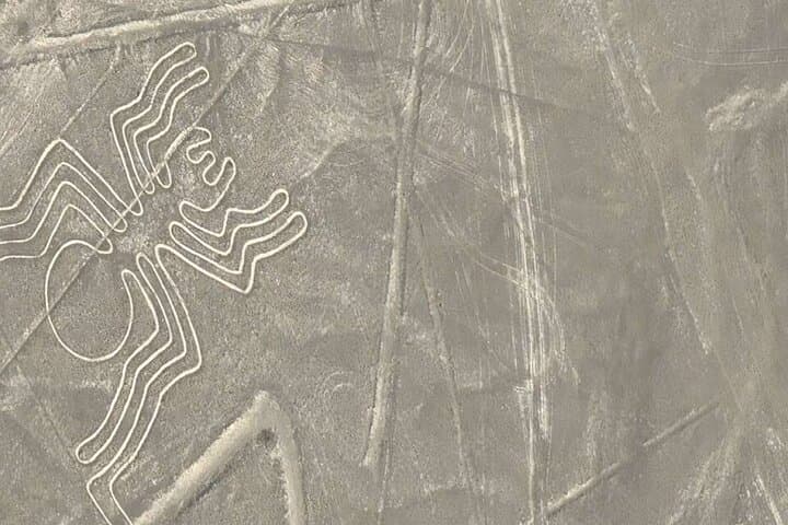 Nazca Lines Full-Day Flight from Lima — Overflight of Ancient Geoglyphs photo 6