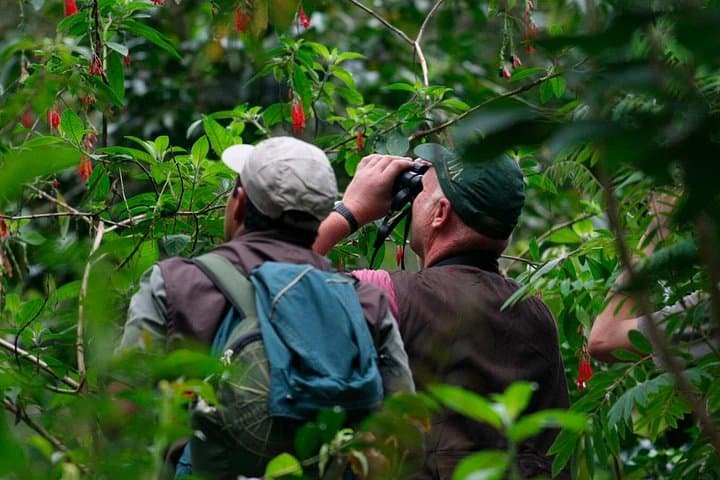 Sandoval Lake: 2-Day Tambopata Jungle Experience from Puerto Maldonado photo 4