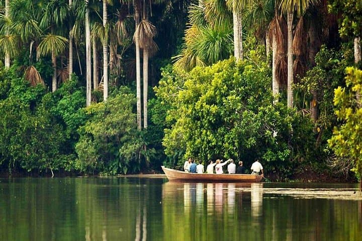 Macaw Magic at Tambopata: 3-Day Puerto Maldonado Jungle & Sandoval Lake Lodge photo 3