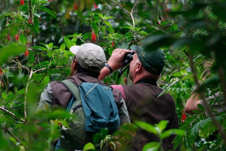 Sandoval Lake 3-Day Jungle Adventure from Puerto Maldonado photo 5