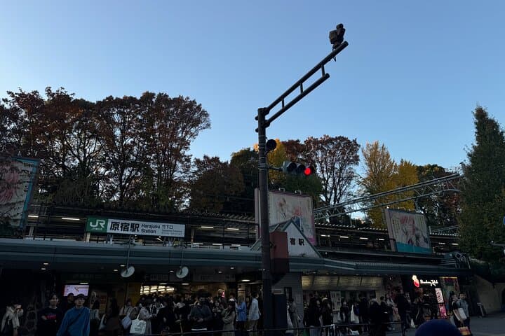 Harajuku to Shibuya: Meiji Shrine, Takeshita Street & Shibuya Crossing Walking Tour photo 5