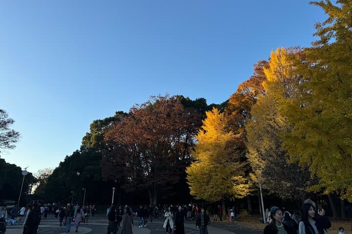 Harajuku to Shibuya: Meiji Shrine, Takeshita Street & Shibuya Crossing Walking Tour photo 6