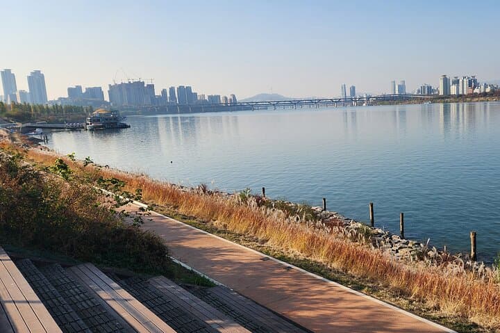 Customizable Full-Day Private Tour in Seoul: DMZ & Nami Island Options photo 6