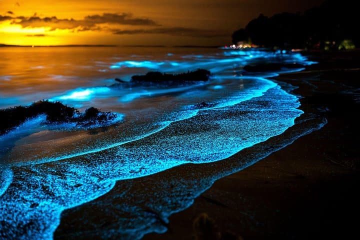 Twilight Sea Canoe and Bioluminescent Plankton Tour in Phang Nga Bay photo 1