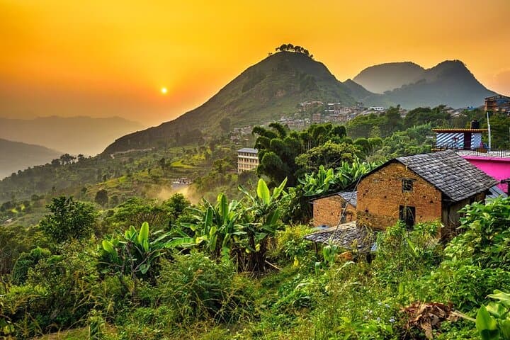 Phulchowki Day Hike: Summit Views & Birding Above Kathmandu
